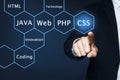 Businessman pointing at virtual screen with words, closeup. Programming and coding