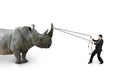 Businessman pulling rope against rhinoceros isolated on white Royalty Free Stock Photo