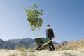 Businessman Pushing Wheelbarrow And Tree in the Desert