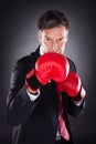 Businessman In Red Boxing Gloves Royalty Free Stock Photo