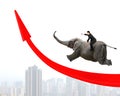 Businessman riding elephant on red arrow up trend line Royalty Free Stock Photo