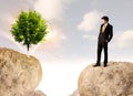 Businessman on rock mountain with a tree