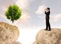 Businessman on rock mountain with a tree