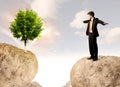 Businessman on rock mountain with a tree