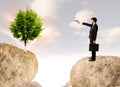 Businessman on rock mountain with a tree