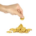 The businessman`s hand collects round glossy gold coins in one heap on a white background. Vector