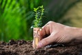 Businessman`s Hands Protecting Plant Rolled With Euro Note Royalty Free Stock Photo