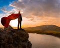 Businessman stand on peak mount with flutters on wind