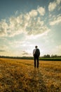 Businessman standing with his back to the camera in the sawn fie Royalty Free Stock Photo