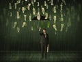 Businessman standing with umbrella in dollar bill rain concept