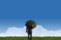 Businessman standing with umbrella on green grass Royalty Free Stock Photo