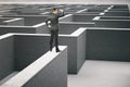Businessman in suit standing on gray concrete labyrinth