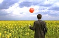 Businessman in sunflowers