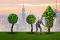 The businessman in sustainable green development concept