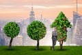 The businessman in sustainable green development concept