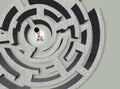 Businessman trying to find way out of maze, above view Royalty Free Stock Photo