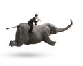 Businessman with using speaker riding on elephant