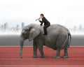 Businessman with using speaker riding on walking elephant Royalty Free Stock Photo