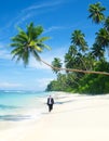 Businessman Walking Down Tropical Beach Concept Royalty Free Stock Photo