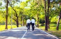 Businessman,They are walking on road in park.They are talking  business. Royalty Free Stock Photo