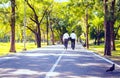 Businessman,They are walking on road in park.They are talking  business. Royalty Free Stock Photo