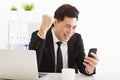 Businessman watching the smart phone in office Royalty Free Stock Photo
