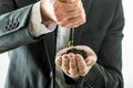 Businessman watering and nurturing a green sprout growing from a