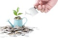 Businessman watering a tree growing out of silver coins on water