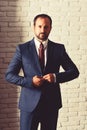 Businessman wears formal suit and tie. Leader with beard