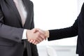 Businessman and woman shaking hands in the office for collaboration