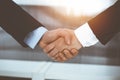 Businessman and woman shaking hands in sunny office, close-up. Concept of handshake as success symbol in business Royalty Free Stock Photo