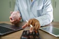 Businessman working on desk office finance accounting saving money Piggy bank with business Royalty Free Stock Photo