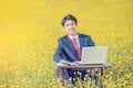 Businessman working outdoor in yellow field Royalty Free Stock Photo