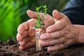 Businessman's Hands Protecting Plant Rolled With Euro Note