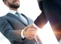 Businessmen making handshake - business etiquette, congratulatio Royalty Free Stock Photo