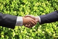 Businessmen shaking hands on nature background