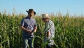 Businessmen with tablet examines their field with corn. concept of agricultural business. Farmers walks in a flowered