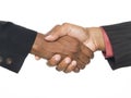 Businesspeople - handshake seal the deal