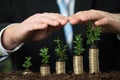 Businessperson Hand Protecting Small Plant On Stacked Coins Royalty Free Stock Photo