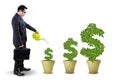 Businessperson nurture the money trees