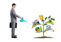 Businessperson watering drawing tree with symbols