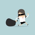 Businesswoman in burglar mask flees with stolen bag.