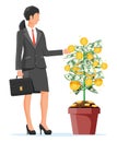 Businesswoman harvests from money coin tree.