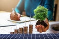 businesswoman holding tree with turbine on coins and solar panel. concept saving energy and finance accounting