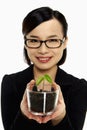 Businesswoman holding up a potted plant Royalty Free Stock Photo