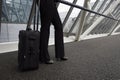 Businesswoman With Luggage Royalty Free Stock Photo