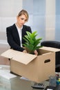 Businesswoman packing belongings in box Royalty Free Stock Photo