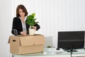 Businesswoman Packing Her Belongings In Cardboard Box Royalty Free Stock Photo