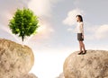 Businesswoman on rock mountain with a tree