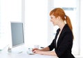 Businesswoman sitting at the computer